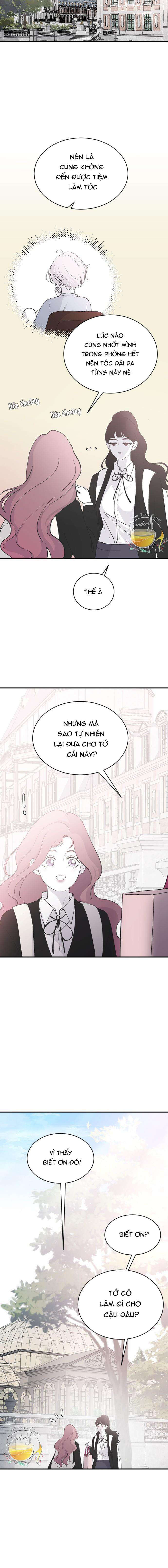 Ba Anh Trai Cực Phẩm Của Tôi Chap 63 - Next Chap 64