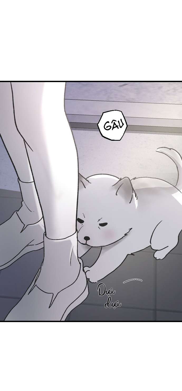 Ba Anh Trai Cực Phẩm Của Tôi Chap 68 - Next Chap 69