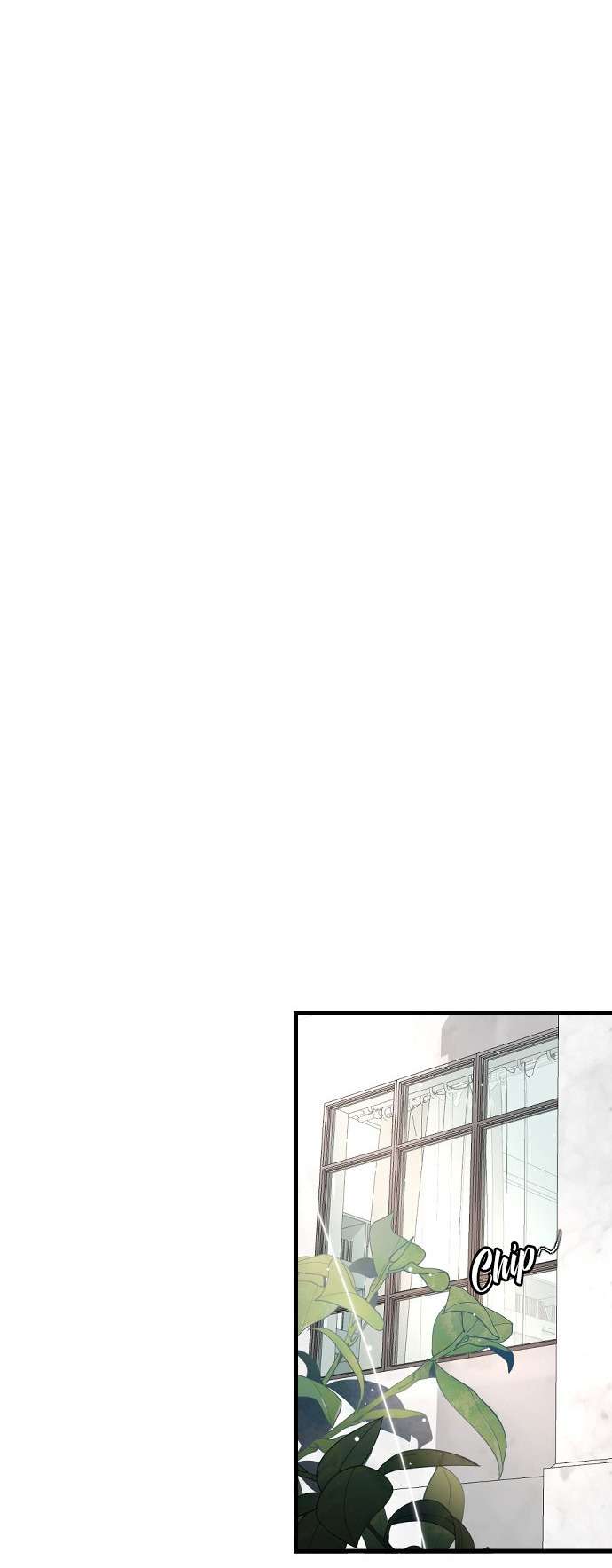 Ba Anh Trai Cực Phẩm Của Tôi Chap 78 - Next Chap 79