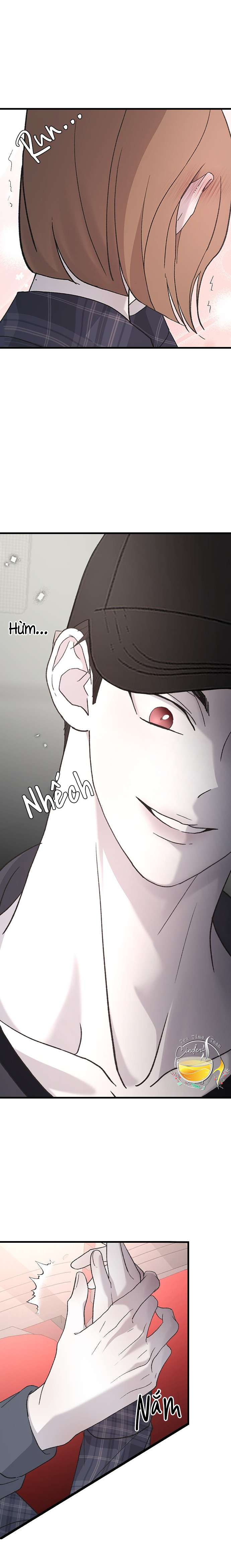 Ba Anh Trai Cực Phẩm Của Tôi Chap 86 - Next Chap 87