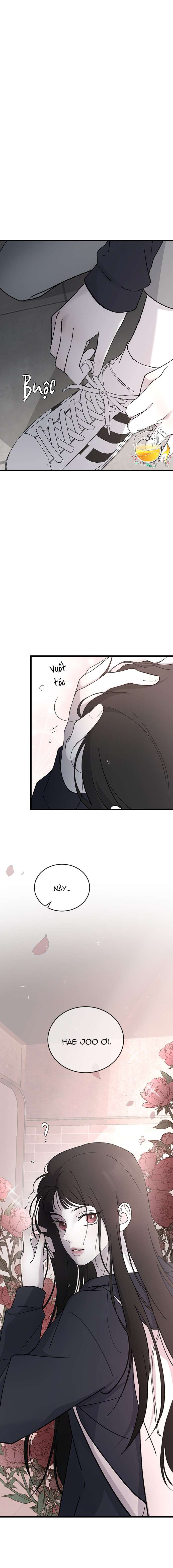 Ba Anh Trai Cực Phẩm Của Tôi Chap 91 - Next Chap 92