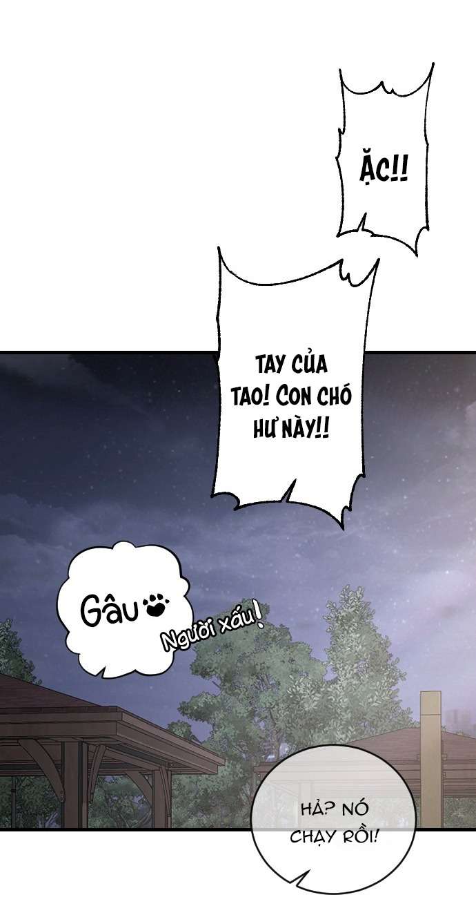 Ba Anh Trai Cực Phẩm Của Tôi Chap 98 - Next Chap 99