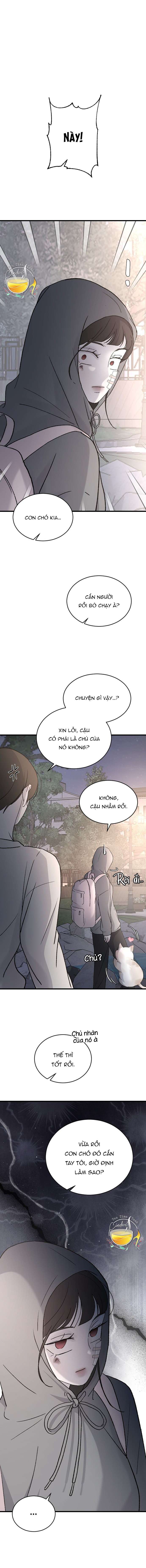 Ba Anh Trai Cực Phẩm Của Tôi Chap 99 - Next Chap 100