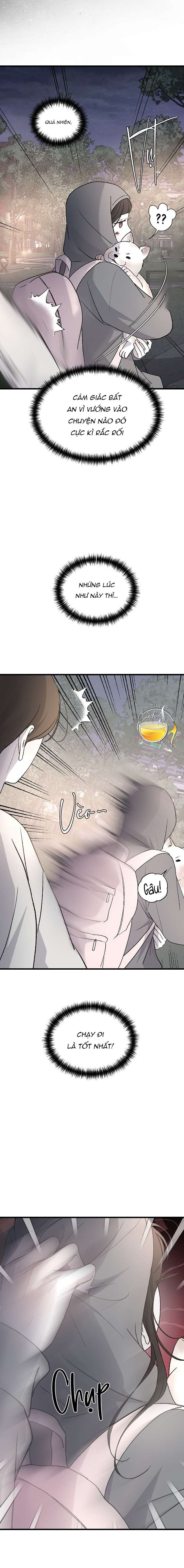 Ba Anh Trai Cực Phẩm Của Tôi Chap 99 - Next Chap 100