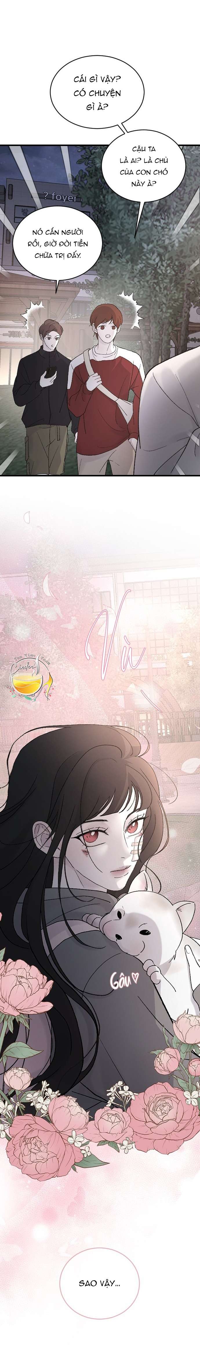 Ba Anh Trai Cực Phẩm Của Tôi Chap 99 - Next Chap 100