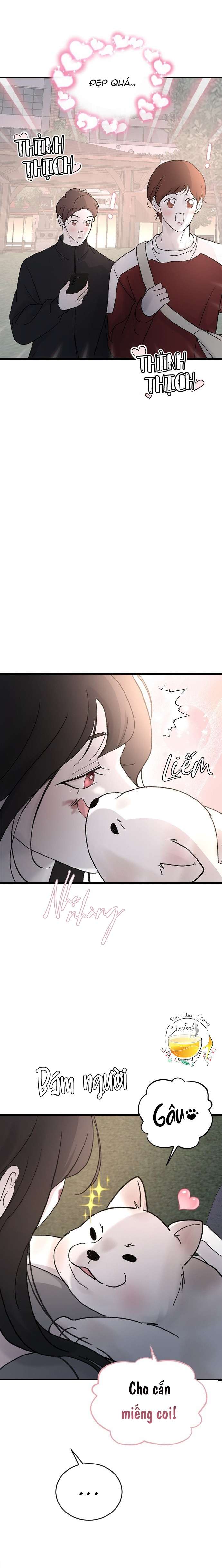 Ba Anh Trai Cực Phẩm Của Tôi Chap 99 - Next Chap 100