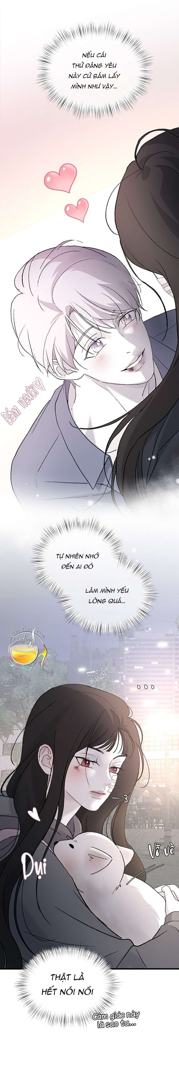 Ba Anh Trai Cực Phẩm Của Tôi Chap 99 - Next Chap 100