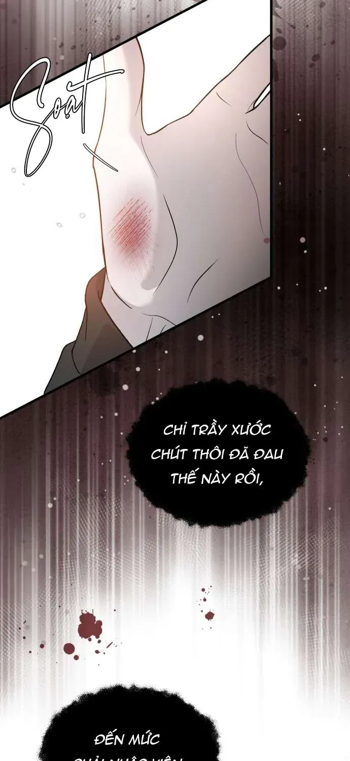 Ba Người Anh Trai Chap 112 - Next Chap 113