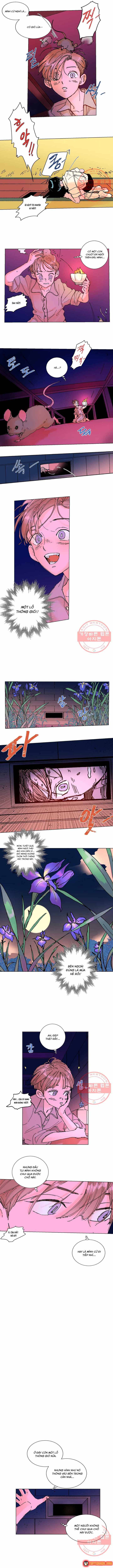 Bá Tước Tachibana Chap 10 - Next Chap 11