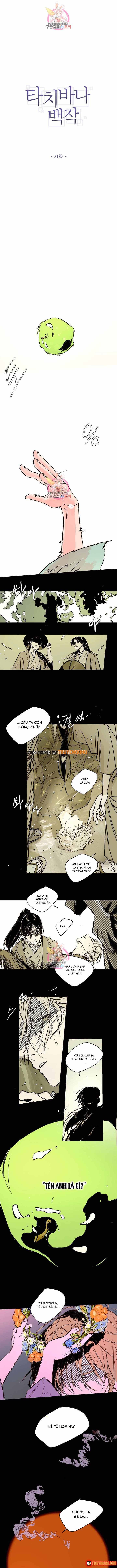 Bá Tước Tachibana Chap 21 - Next Chap 22