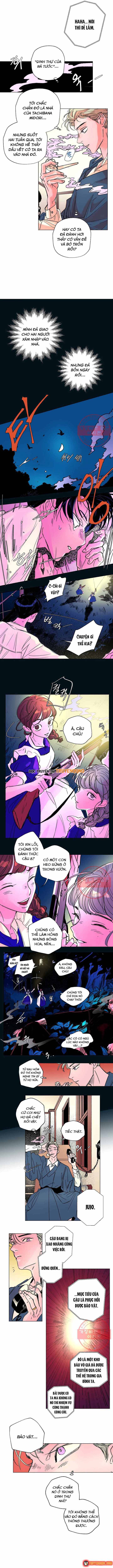 Bá Tước Tachibana Chap 25 - Next Chap 26