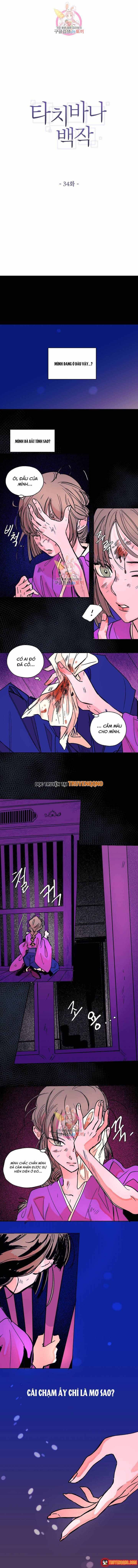 Bá Tước Tachibana Chap 34 - Next Chap 35