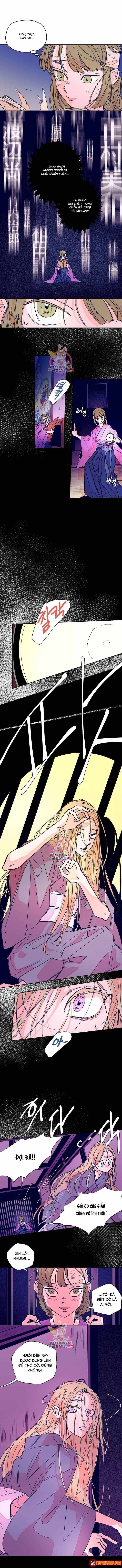 Bá Tước Tachibana Chap 34 - Next Chap 35