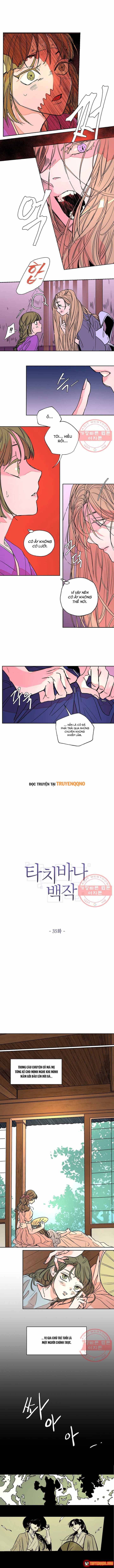 Bá Tước Tachibana Chap 35 - Next Chap 36