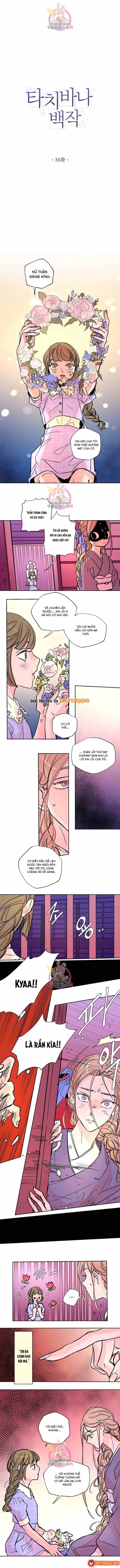 Bá Tước Tachibana Chap 36 - Next Chap 37