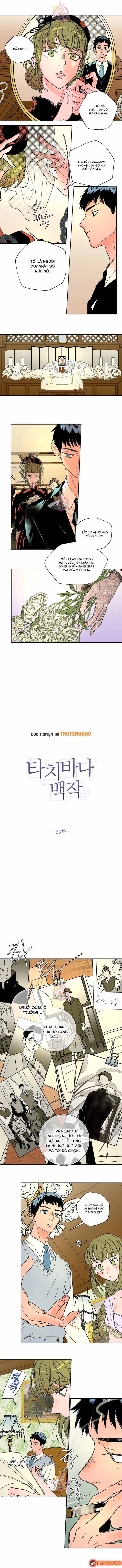 Bá Tước Tachibana Chap 39 - Next Chap 40