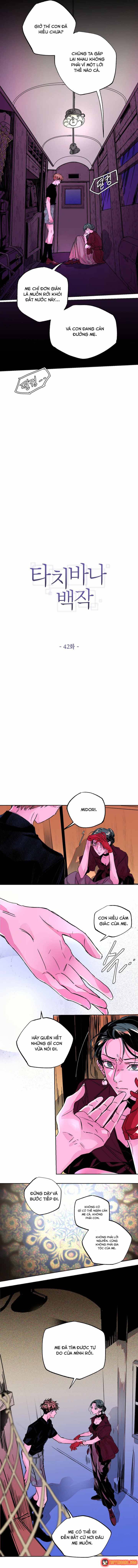 Bá Tước Tachibana Chap 42 - Next Chap 43