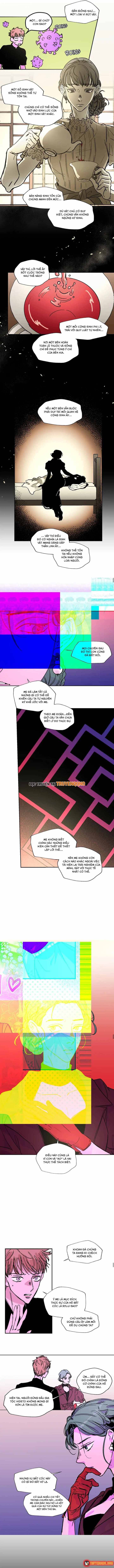 Bá Tước Tachibana Chap 43 - Next Chap 44