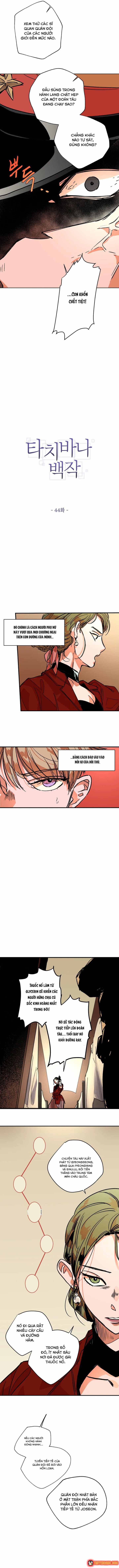 Bá Tước Tachibana Chap 44 - Next Chap 45