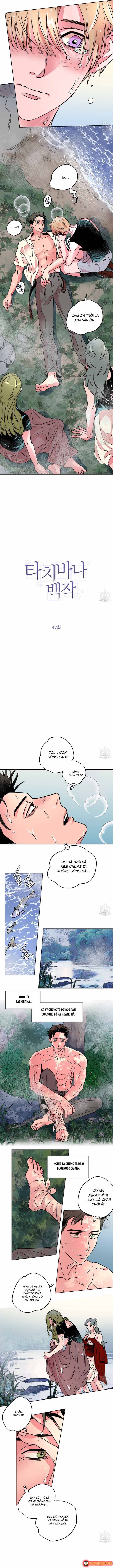 Bá Tước Tachibana Chap 47 - Next Chap 48