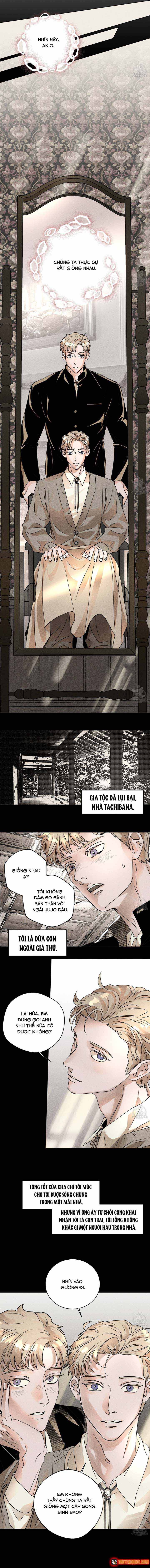 Bá Tước Tachibana Chap 50 - Next Chap 51