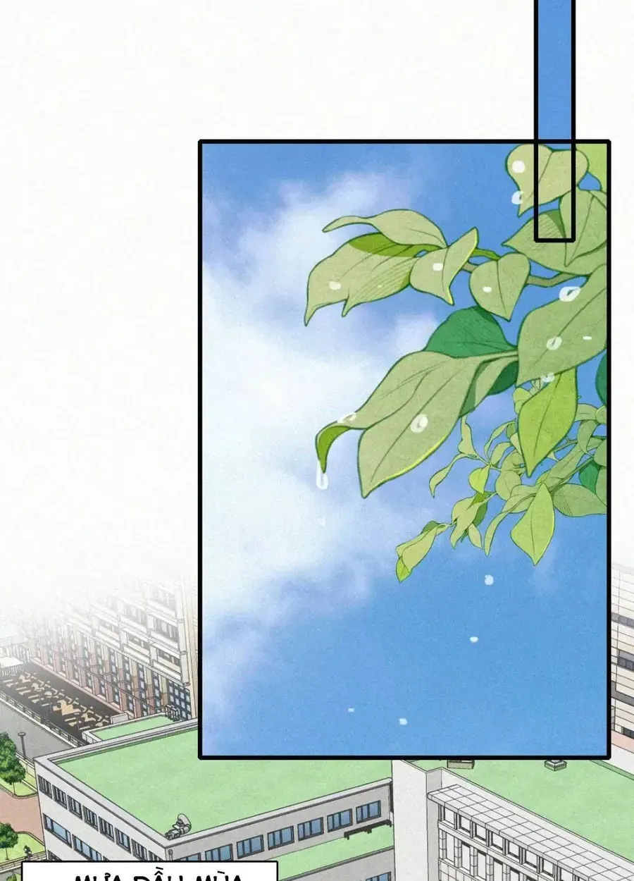 Bá Vương Sủng Ái Cô Vợ Mù Chap 199 - Next Chap 200