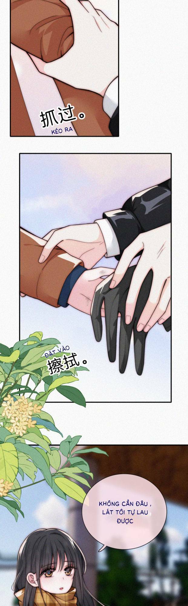 Bá Vương Sủng Ái Cô Vợ Mù Chap 53 - Next Chap 54