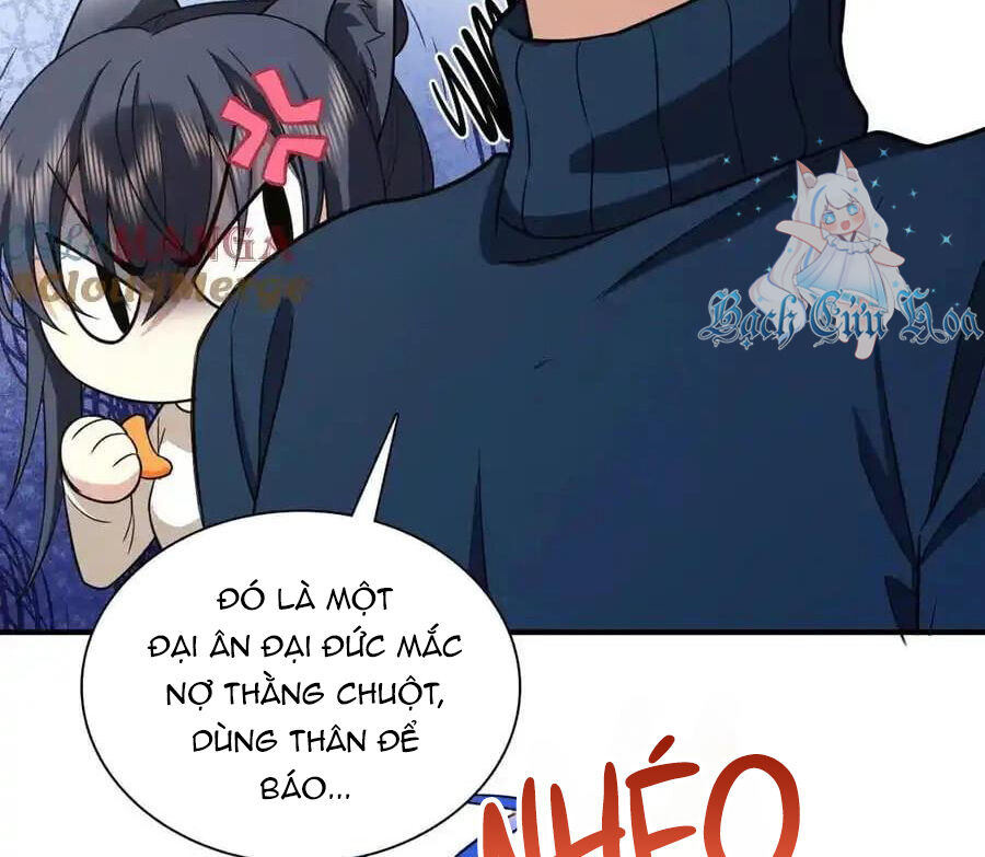 Bà Xã Nhà Tôi Đến Từ Ngàn Năm Trước Chap 268 - Next Chap 269