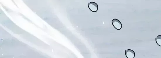 Bác Sĩ Thú Y Ở Dị Giới Chap 47 - Next Chap 48