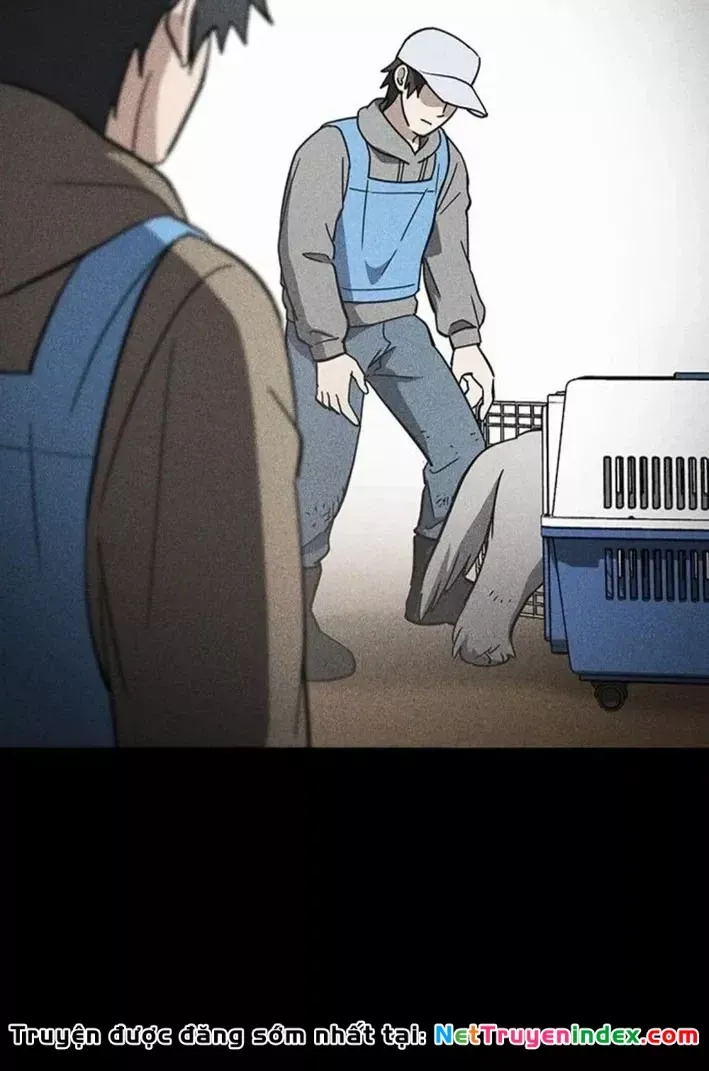Bác Sĩ Thú Y Ở Dị Giới Chap 50 - Next Chap 51