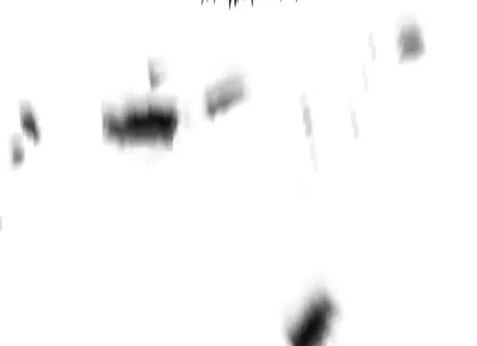 Bác Sĩ Trùng Sinh Về Murim Chap 190 - Next Chap 191