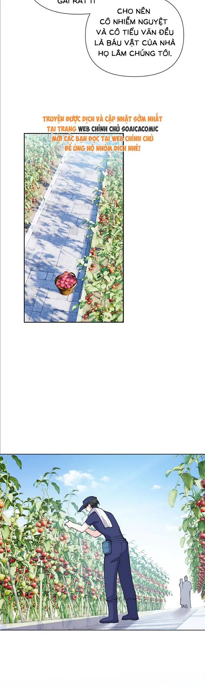 Ban ngày bị hủy hôn, buổi tối bị chỉ huy vừa đáng yêu vừa hung dữ đòi ôm. Chap 153 - Next Chap 154