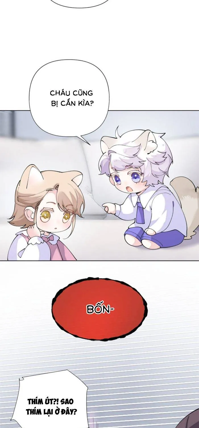 Ban Ngày Đào Hôn, Ban Đêm Lại Được Xin Ôm Chap 171 - Next Chap 172