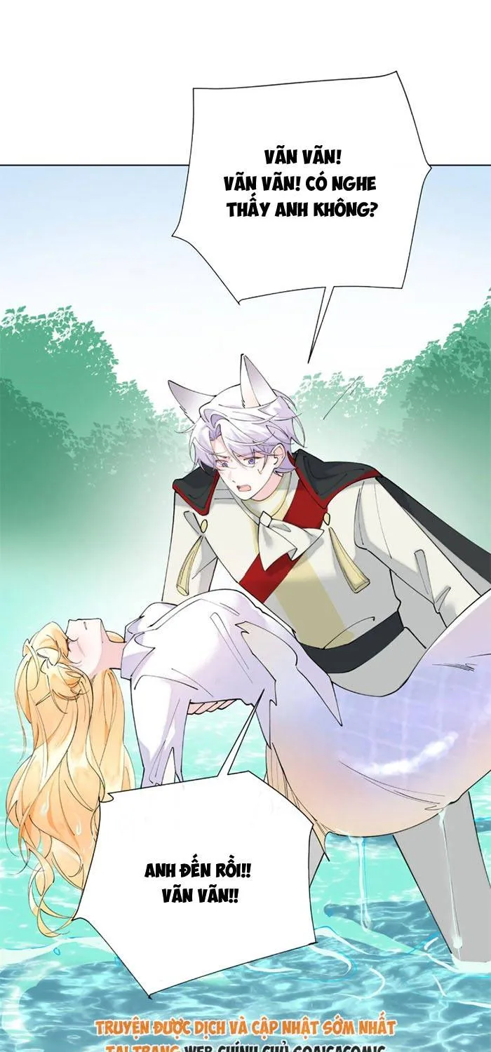 Ban Ngày Đào Hôn, Ban Đêm Lại Được Xin Ôm Chap 172 - Next Chap 173