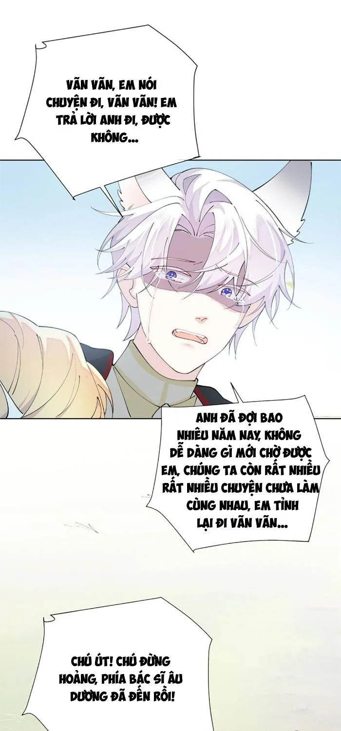 Ban Ngày Đào Hôn, Ban Đêm Lại Được Xin Ôm Chap 172 - Next Chap 173