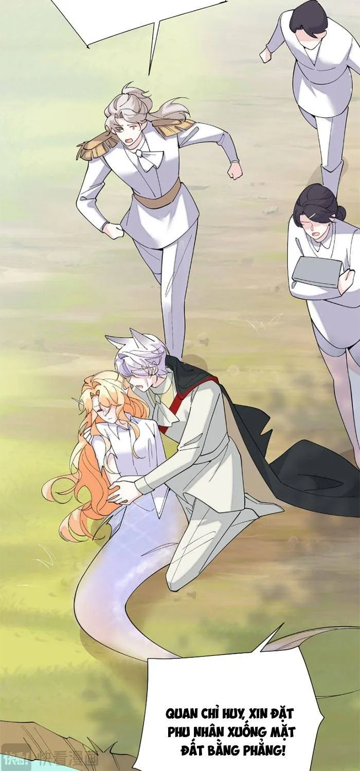 Ban Ngày Đào Hôn, Ban Đêm Lại Được Xin Ôm Chap 172 - Next Chap 173