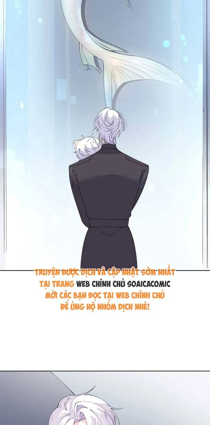 Ban Ngày Đào Hôn, Ban Đêm Lại Được Xin Ôm Chap 173 - Next Chap 174