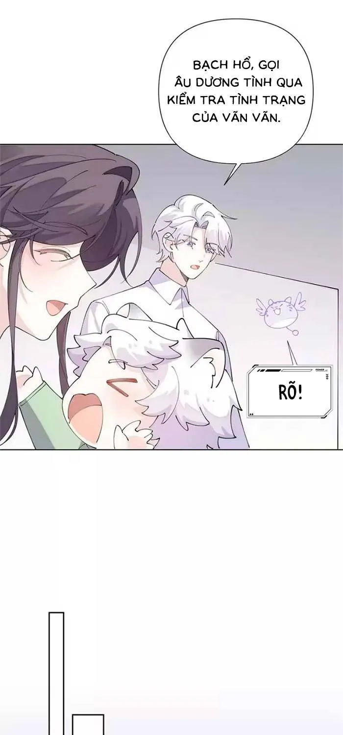Ban Ngày Đào Hôn, Ban Đêm Lại Được Xin Ôm Chap 176 - Next Chap 177