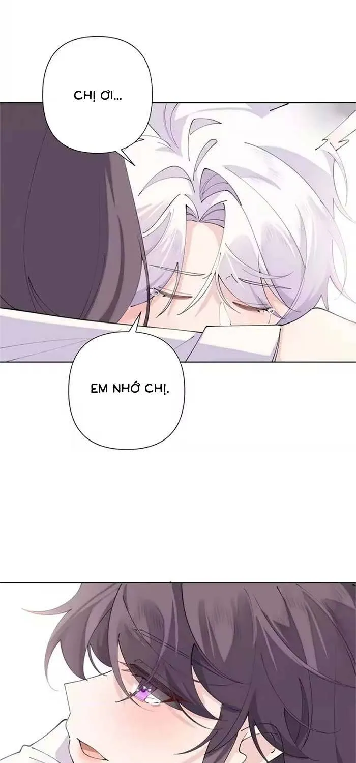 Ban Ngày Đào Hôn, Ban Đêm Lại Được Xin Ôm Chap 176 - Next Chap 177