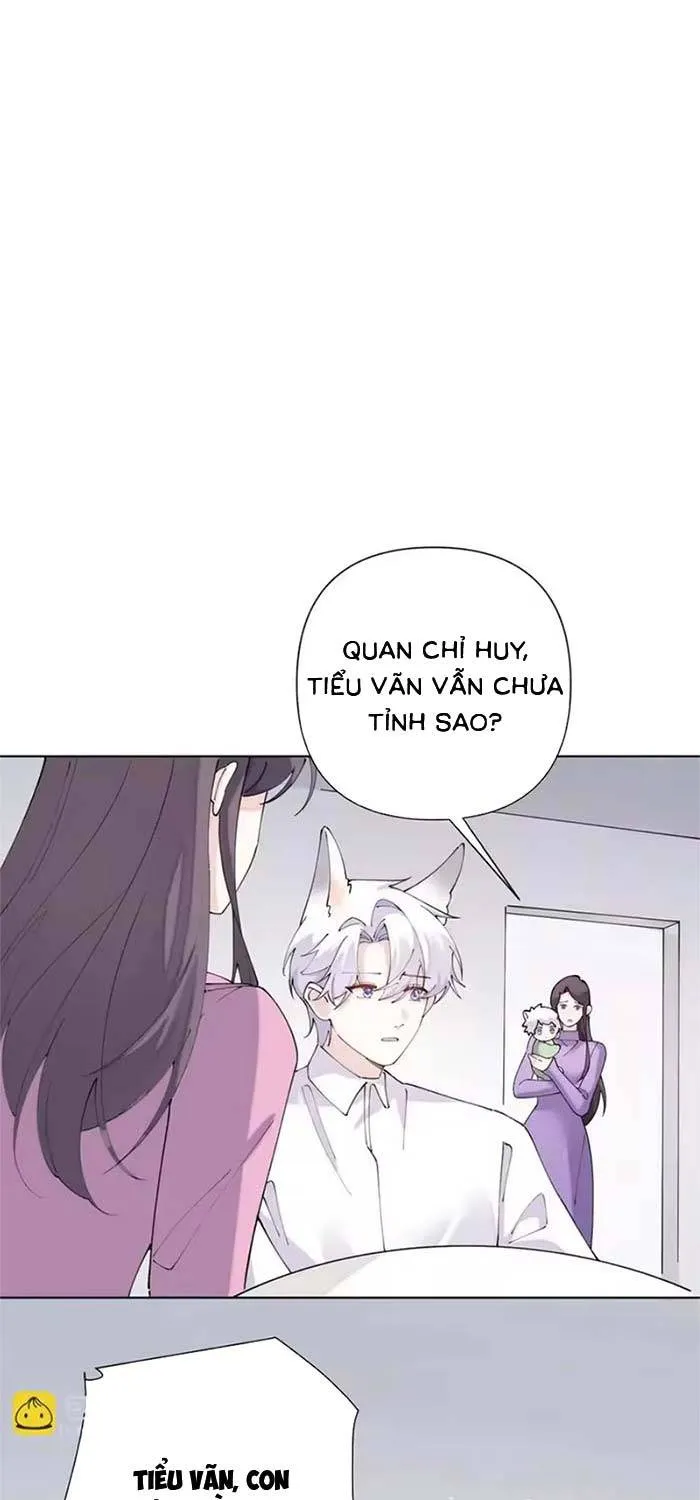 Ban Ngày Đào Hôn, Ban Đêm Lại Được Xin Ôm Chap 176 - Next Chap 177