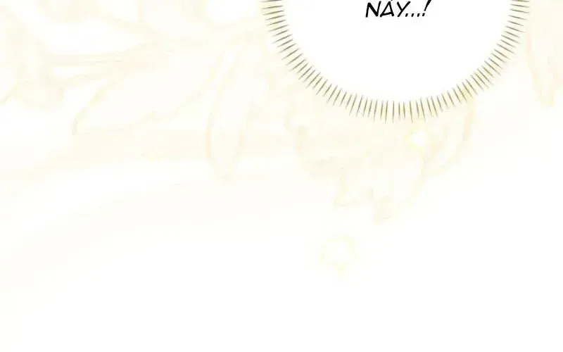 Bản Tình Ca Rạng Đông Chap 5 - Next Chap 6