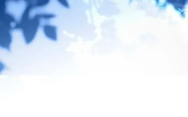 Bản Tình Ca Rạng Đông Chap 5 - Next Chap 6