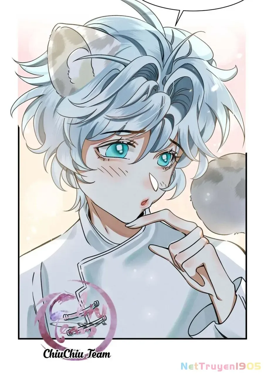 Báo Tuyết Thích Cắn Đuôi Chap 1 - Next Chap 2