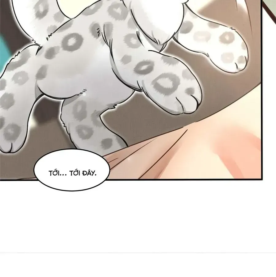 Báo Tuyết Thích Cắn Đuôi Chap 2 - Next Chap 3
