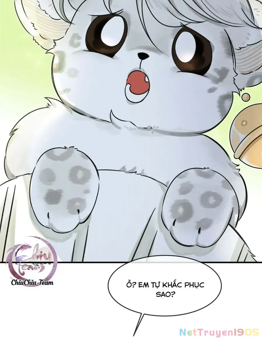 Báo Tuyết Thích Cắn Đuôi Chap 2 - Next Chap 3