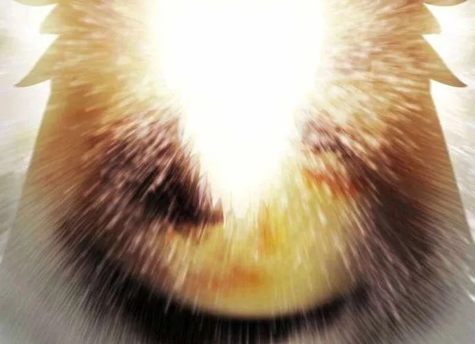 Bất Bại Chân Ma Chap 268 - Next Chap 269