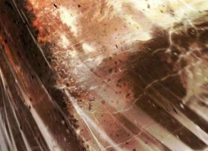 Bất Bại Chân Ma Chap 268 - Next Chap 269