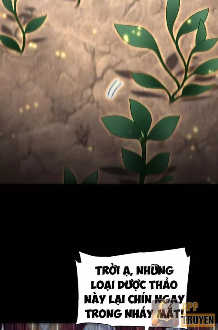 Bắt Đầu Chấn Kinh Nữ Đế Lão Bà, Ta Vô Địch! Chap 100 - Next Chap 101