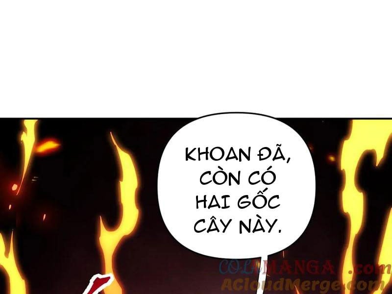 Bắt Đầu Chấn Kinh Nữ Đế Lão Bà, Ta Vô Địch! Chap 63 - Next Chap 64