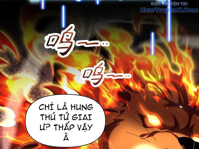 Bắt Đầu Chấn Kinh Nữ Đế Lão Bà, Ta Vô Địch! Chap 76 - Next Chap 77